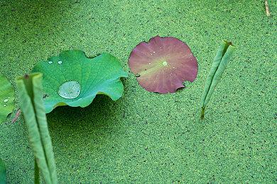 《铲子骑士：挖掘》Steam页面上线 9月24日发售